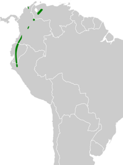 Cinclodes albidiventris map.svg
