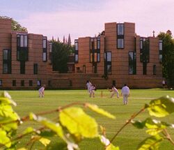 Cricket at Balliol 2005-06.jpg