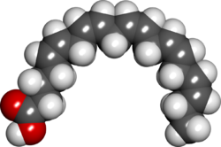 Eicosapentaenoic acid spacefill.png