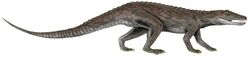 Erpetosuchus BW white background.jpg