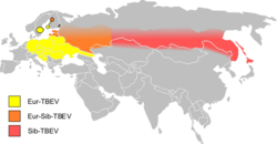 EurAsia TBE-belt.svg