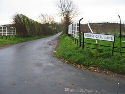 Forest Gate Lane - geograph.org.uk - 289802.jpg