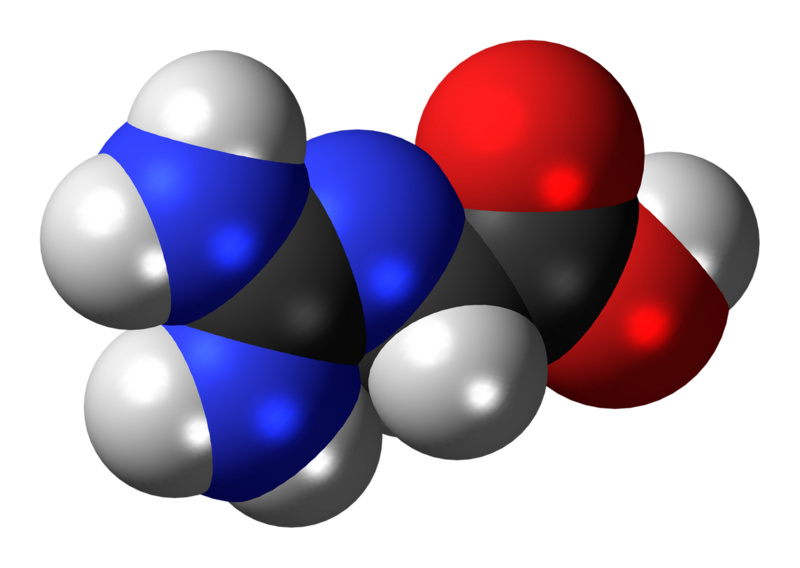 File:Glycocyamine-3D-spacefill.png
