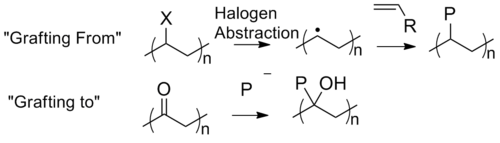 Schematic of graft polymerizations