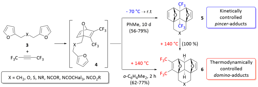 Kinetic and thermodynamic control of the tandem Diels–Alder reaction.