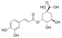 Neochlorogenic acid.svg