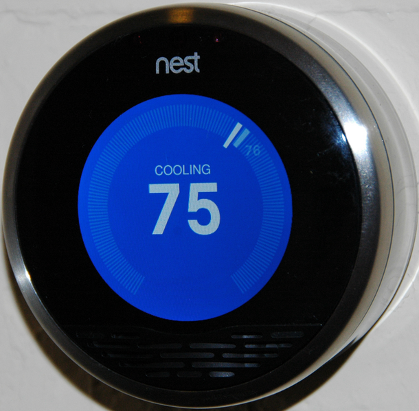 File:Nest front official.png