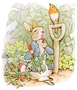 PeterRabbit8.jpg