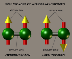 Spinisomers of molecular hydrogen.png