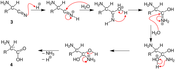 Mechanism of the Strecker synthesis