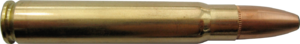 9.3x62mm-Norma-Oryx-15g(232gr)-cartridge.png