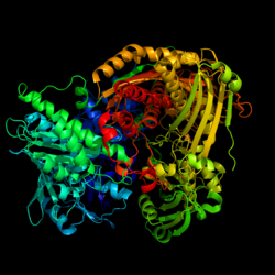 Aldehydoxidase.png