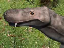 Aloposaurus BW.jpg