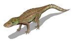 Anatosuchus BW.jpg