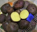 Andean black potato 2.JPG