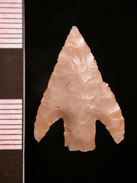 File:Barbed and tanged arrowhead (dorsal) (FindID 394356).jpg