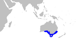 Partial world map with a blue outline along the coast of southern Australia