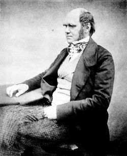 Charles Darwin aged 51.jpg