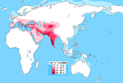 Distribution Haplogroup L Y-DNA.svg