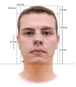 Face Measurements Lombroso's method.jpg