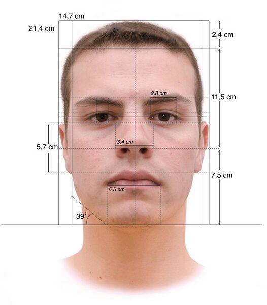 File:Face Measurements Lombroso's method.jpg