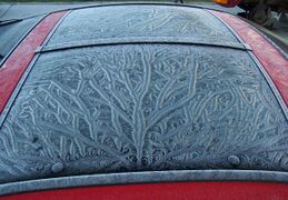 Frost patterns 25.jpg