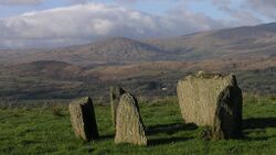 Kealkill Stone Circle (geograph 3325717).jpg