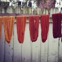 Naturally dyed skeins.jpg