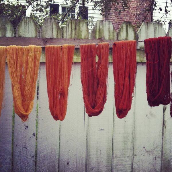 File:Naturally dyed skeins.jpg