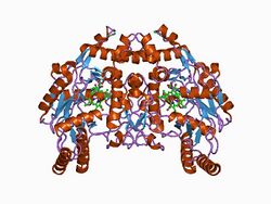 PDB 1d0c EBI.jpg