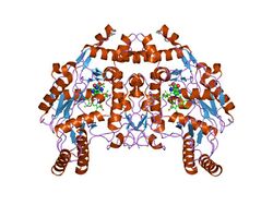 PDB 1foo EBI.jpg