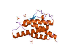 PDB 2d48 EBI.png