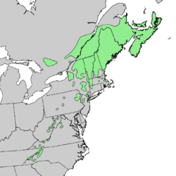 Picea rubens range map.png