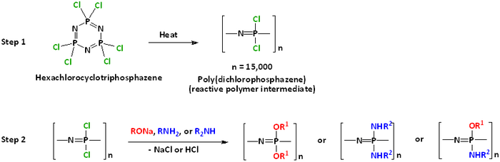 Polyphosphazene synthesis
