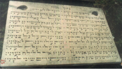 Shlomo Efeda tombstone.png