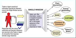 Single Window Example.jpg