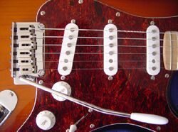 Stratocaster detail DSC06937.jpg