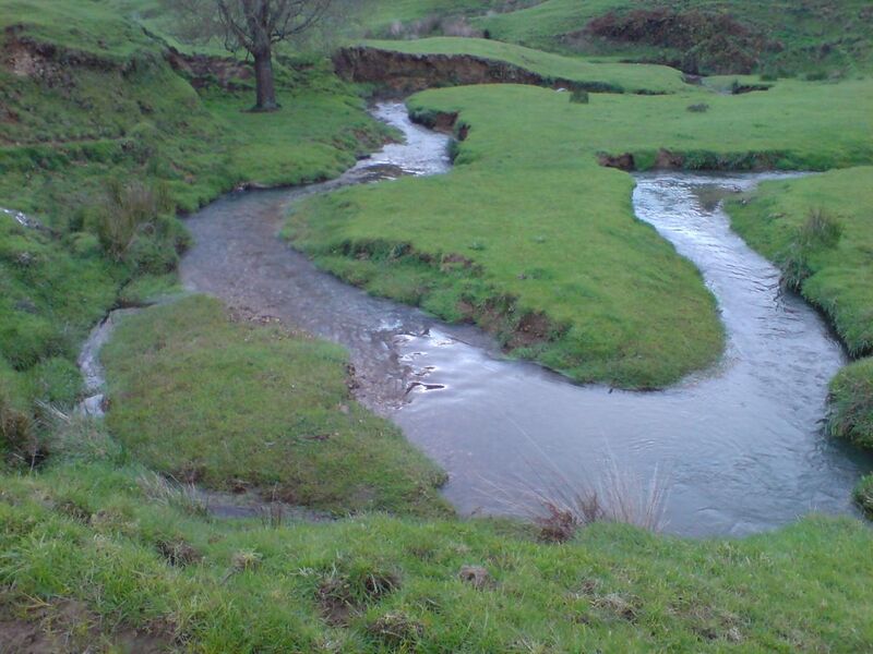 File:Waikato Waitomo Area Stream.jpg