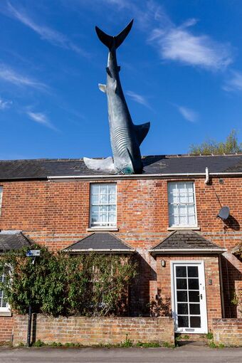 20210418 Headington Shark-2.jpg