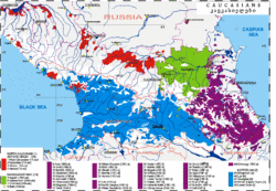 Caucasian Peoples and Languages as of 1990-2010.gif