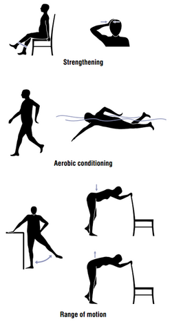 Illustration of example strengthening, aerobic conditioning, and range of motion exercises