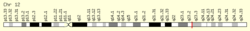 Genomic View for C12orf42 Gene.png