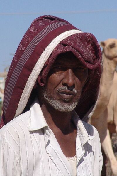 File:Hargeisa camel trader.jpg