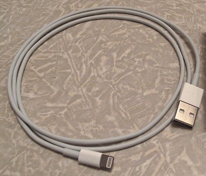 File:Lightning to USB Cable.jpg
