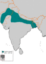 Mamluk dynasty 1206 - 1290 ad.GIF