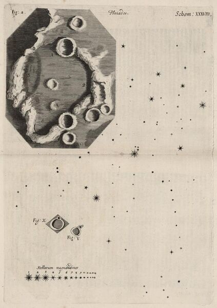 File:Micrographia Schem 38.jpg