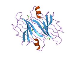 PDB 1iii EBI.jpg