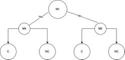 Phi Function Tree.jpg