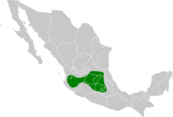 Rallus tenuirostris map.svg