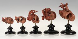 Set of wax models showing development of the rabbit heart, twentieth century (24226156252).jpg